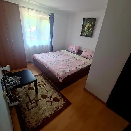 Pensión Casa Luca Lepşa